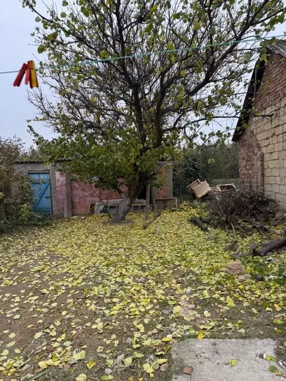 Дом в Крым, Феодосия городской округ, с. Ближнее ул. Хуторская (69 м) - Фото 1