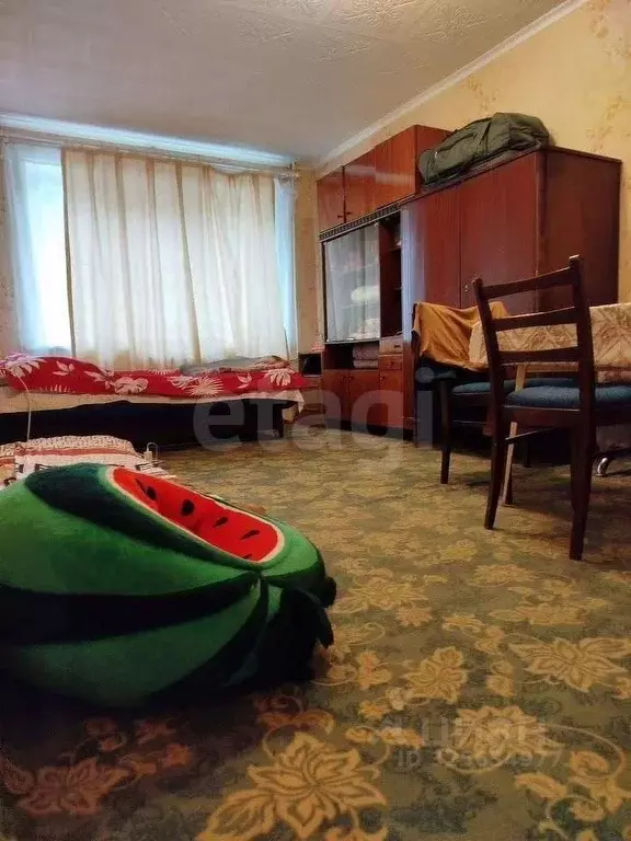 1-к кв. Красноярский край, Красноярск Московская ул., 22а (29.5 м) - Фото 1