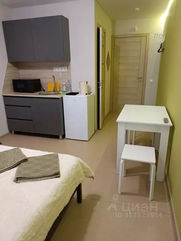 1-к кв. Владимирская область, Владимир Тракторная ул., 46/1 (29.0 м) - Фото 1