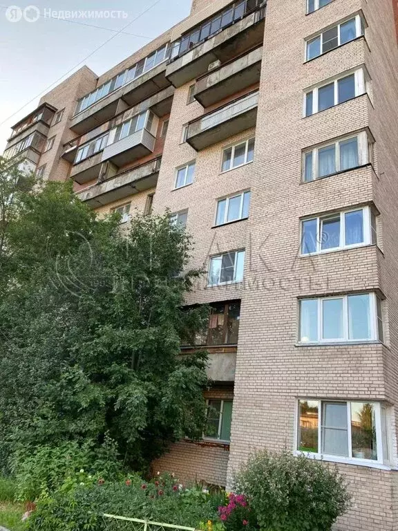 1-комнатная квартира: Санкт-Петербург, улица Чекистов, 38 (29 м) - Фото 1