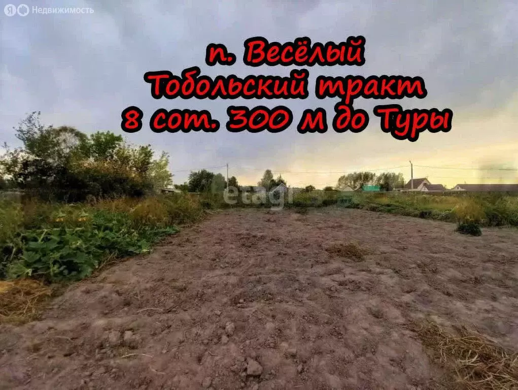 Участок в Ярковский район, посёлок Весёлый, Весёлая улица (8 м) - Фото 1