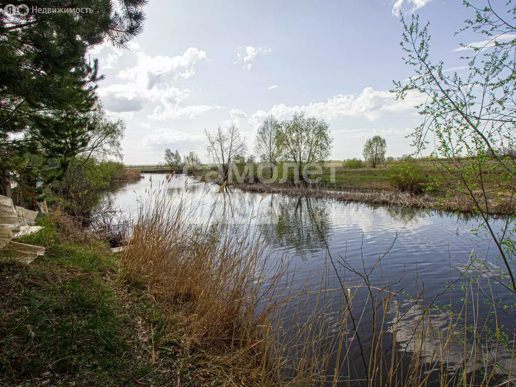 Участок в Луговое, улица Пазёрского (15 м) - Фото 1