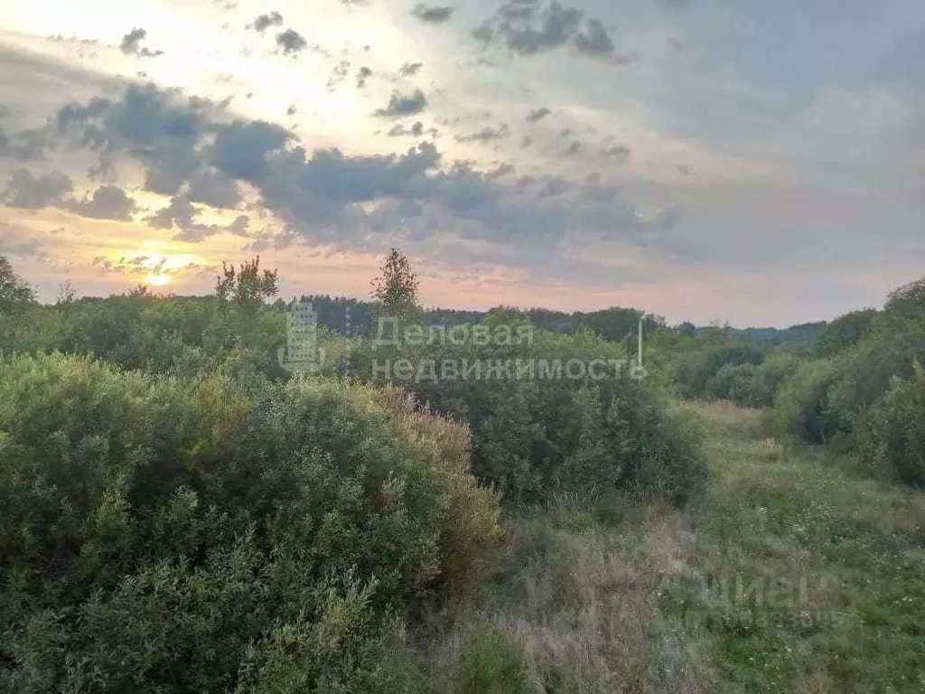 Дом в Новгородская область, Новгородский район, Савинское с/пос, д. ... - Фото 1