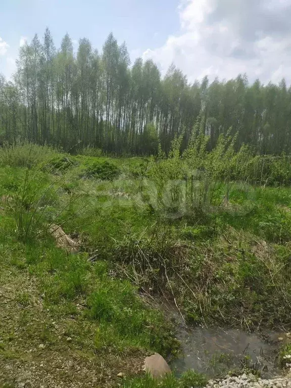Участок 9 сот. (СНТ, ДНП) - Фото 1