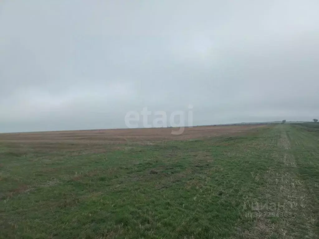 Участок в Крым, Ленинский район, Семисотское с/пос, с. Каменское ул. ... - Фото 1