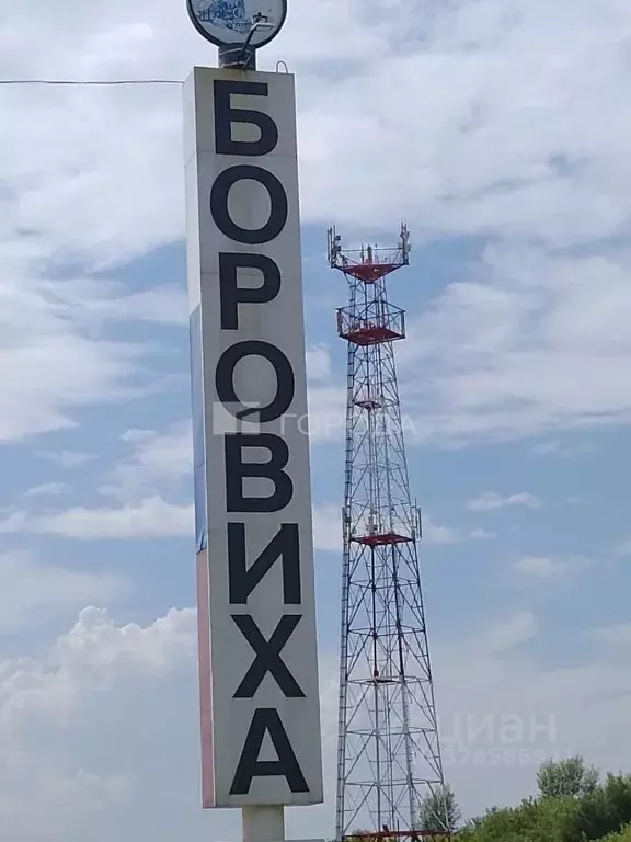 Участок в Алтайский край, Первомайский район, с. Боровиха ... - Фото 1