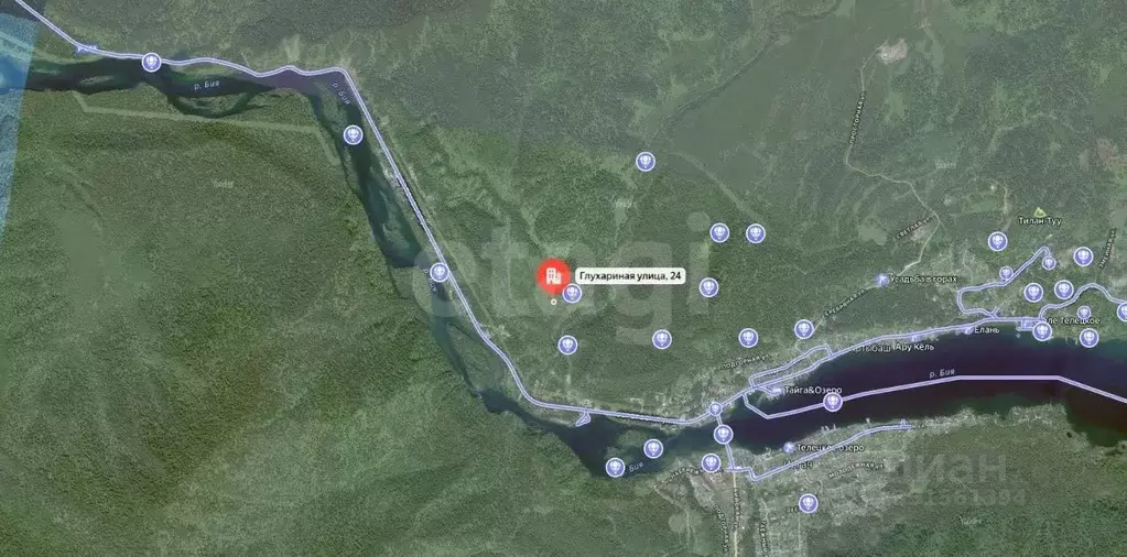 Участок в Алтай, Турочакский район, с. Артыбаш ул. Глухариная, 24 (9.9 ... - Фото 1