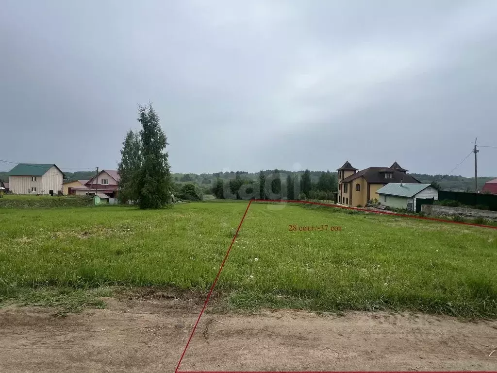 Участок в Вологодская область, Шекснинский муниципальный округ, ... - Фото 1