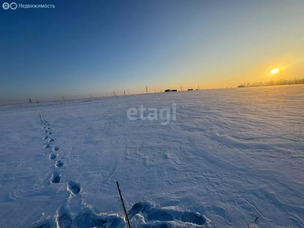 Участок в Хабаровский район, Тополевское сельское поселение, село ... - Фото 1