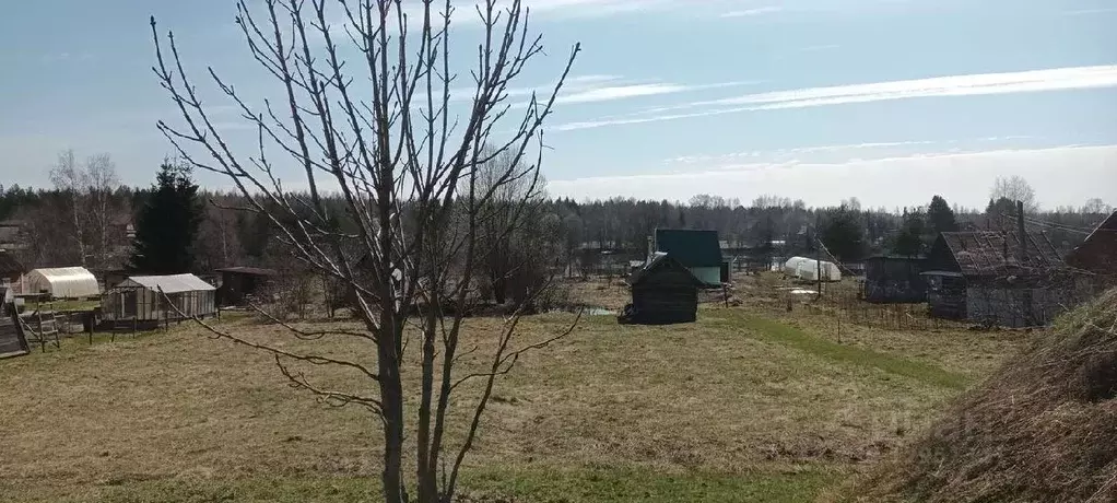 Участок в Новгородская область, Новгородский район, Савинское с/пос, ... - Фото 1