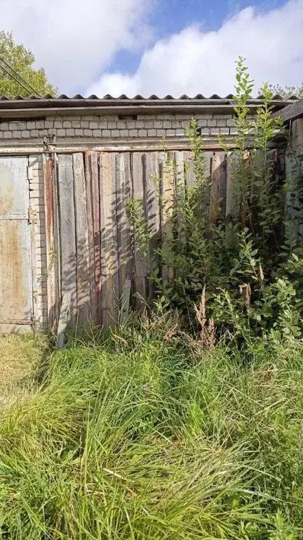 Помещение свободного назначения в Тверская область, Сонково пгт просп. ... - Фото 1