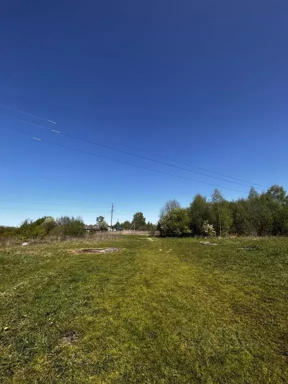 Участок в Вологодская область, Вологда Железнодорожник садоводческое ... - Фото 0