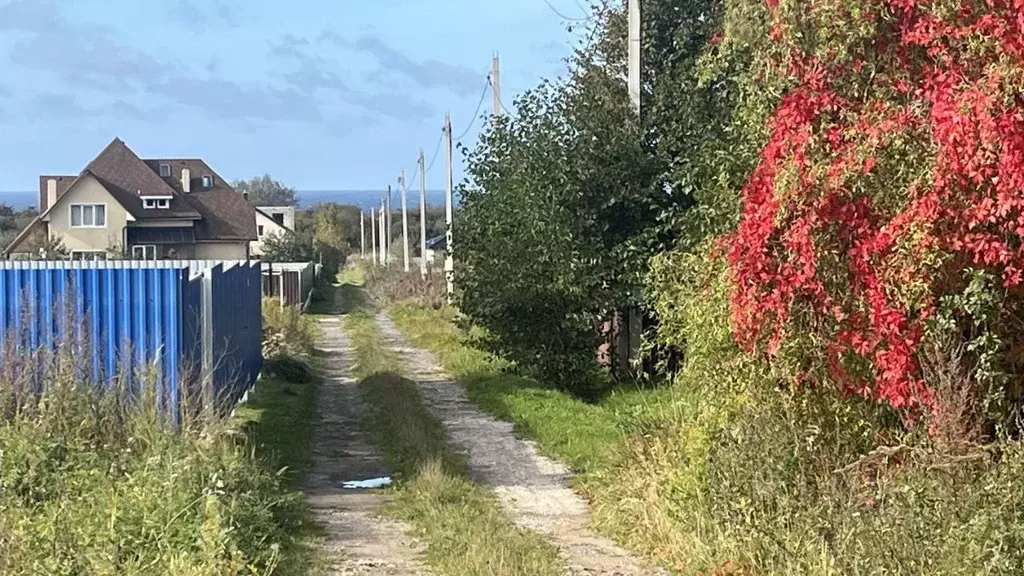 Участок в Калининградская область, Светлогорский городской округ, пос. ... - Фото 2