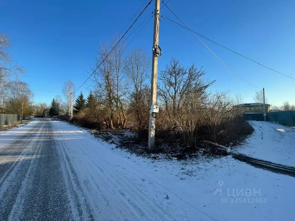 Участок в Новгородская область, Новгородский район, Пролетарское ... - Фото 2