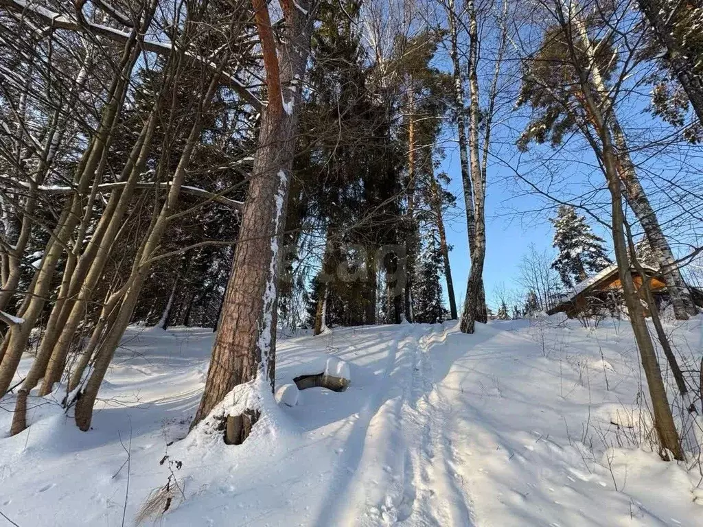 Участок в Костромская область, Костромской район, Чернопенское с/пос, ... - Фото 2