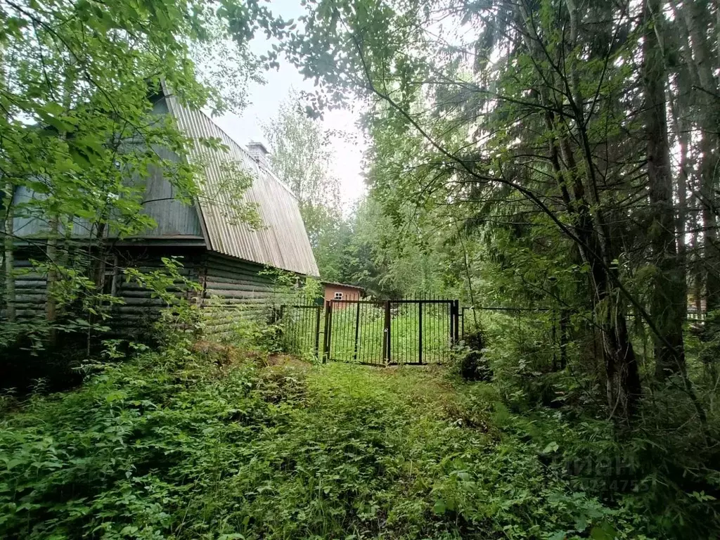 Участок в Ленинградская область, Гатчинский район, Вырица городской ... - Фото 0