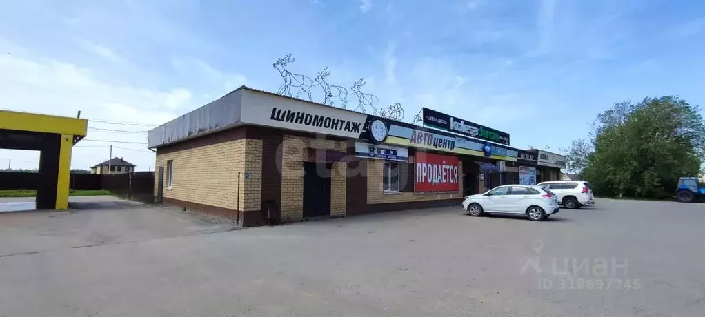 Помещение свободного назначения в Марий Эл, Козьмодемьянск ул. ... - Фото 0