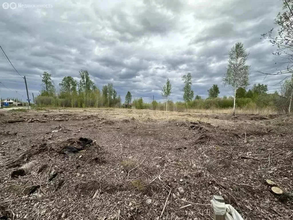 Участок в Нижнетавдинский район, СНТ Сочинские, 35-я линия (18 м) - Фото 1