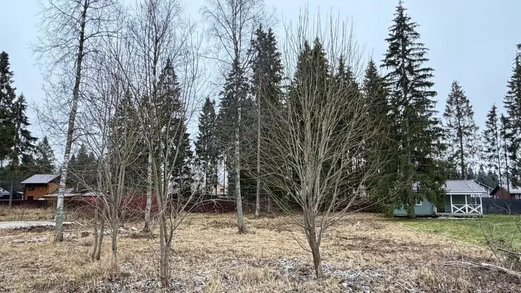 Участок, 12.4 сот., сельхоз (снт или днп) - Фото 2