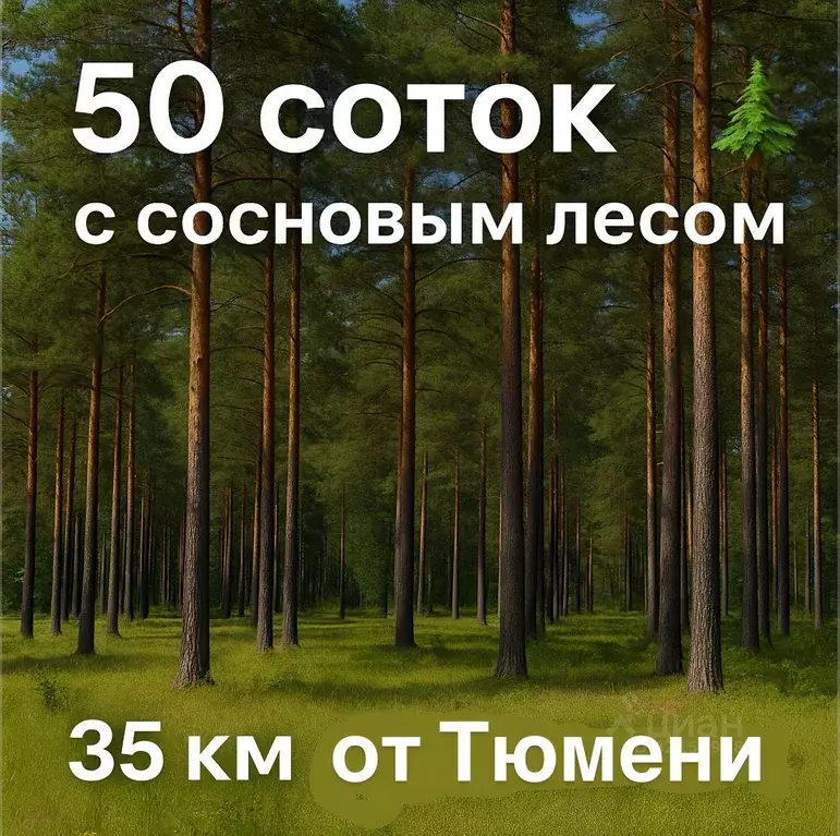 Участок в Тюменская область, Тюменский муниципальный округ, Геофизик ... - Фото 0