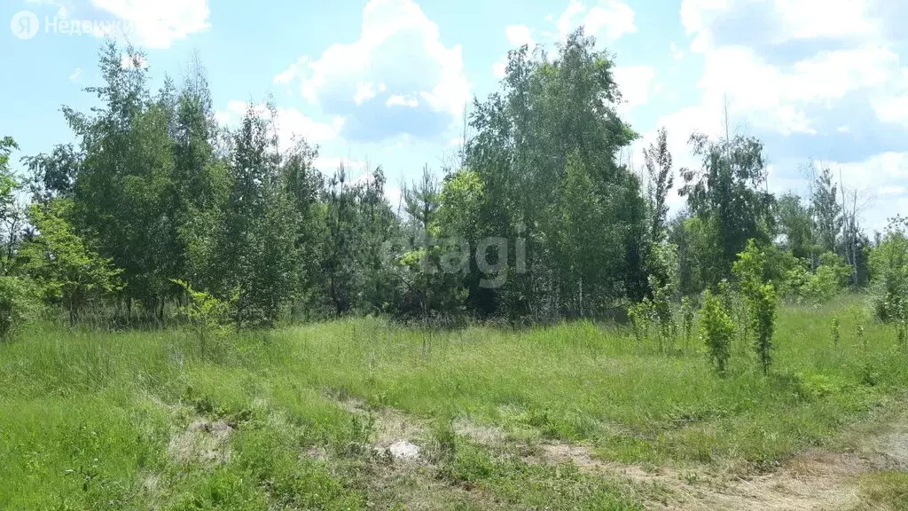 Участок в село Новая Усмань, микрорайон Пчёлка (20 м) - Фото 1