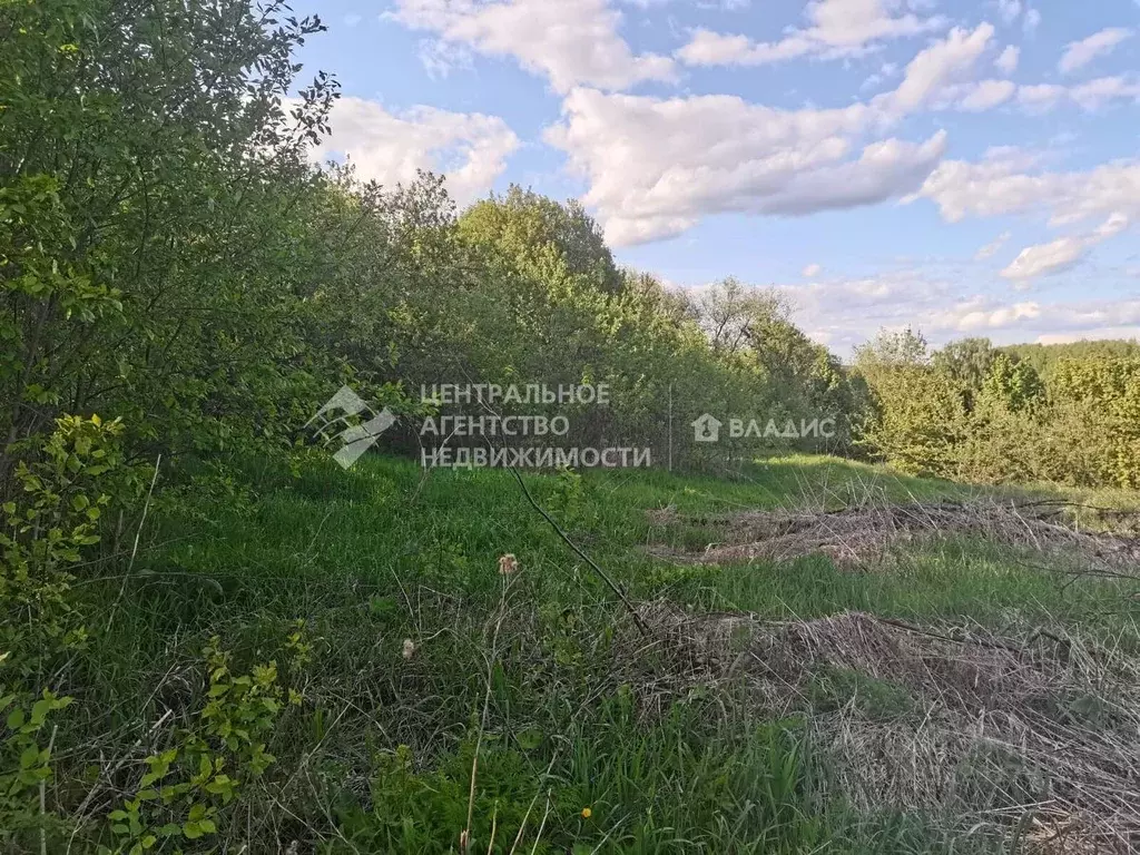 Участок в Рязанская область, Рязанский муниципальный округ, с. ... - Фото 1