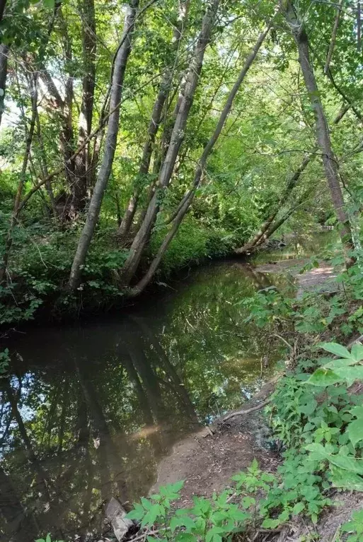 Участок в Татарстан, Казань пер. Хозур (5.2 сот.) - Фото 1