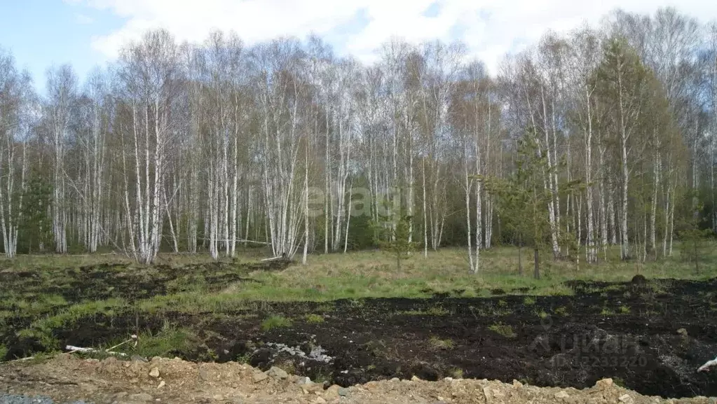 Участок в Свердловская область, Екатеринбург ВИЗ жилрайон,  (18.8 ... - Фото 0