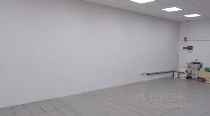 Торговая площадь в Новосибирская область, Новосибирский район, ... - Фото 1