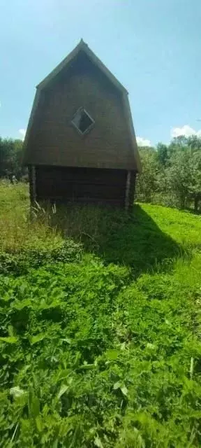 Участок в Новгородская область, Шимский район, Подгощское с/пос, д. ... - Фото 1