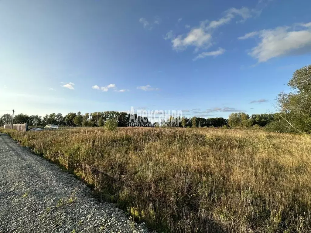 Участок в Ленинградская область, Ломоносовский район, Лопухинское ... - Фото 1