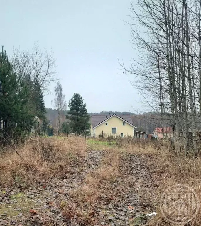 Участок в Ленинградская область, Выборгский район, пос. Поляны проезд ... - Фото 2