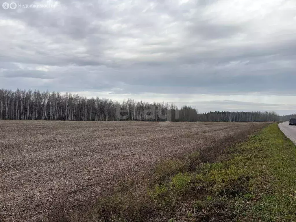 Участок в Лысые Горы, Советская улица (26.16 м) - Фото 0