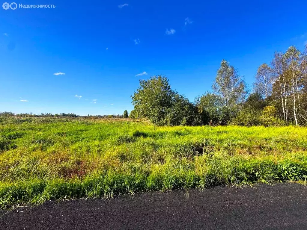 Участок в Московская область, Дмитровский муниципальный округ, КП ... - Фото 2