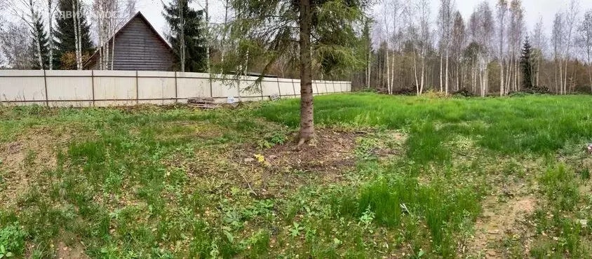 Участок в Опольевское сельское поселение, садоводческий массив ... - Фото 1