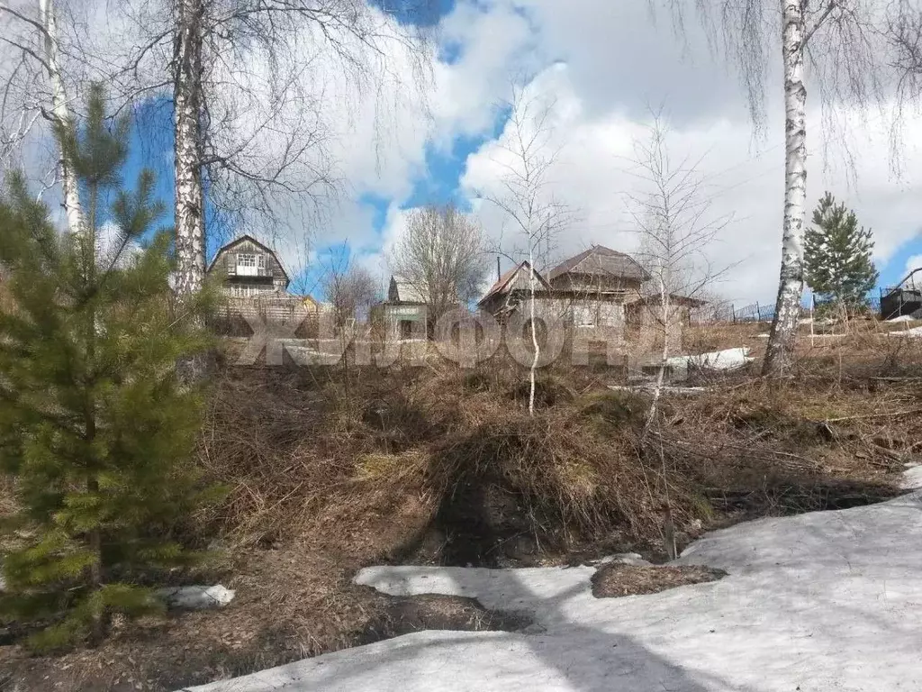 Участок в Новосибирская область, Новосибирский район, Раздольненский ... - Фото 2