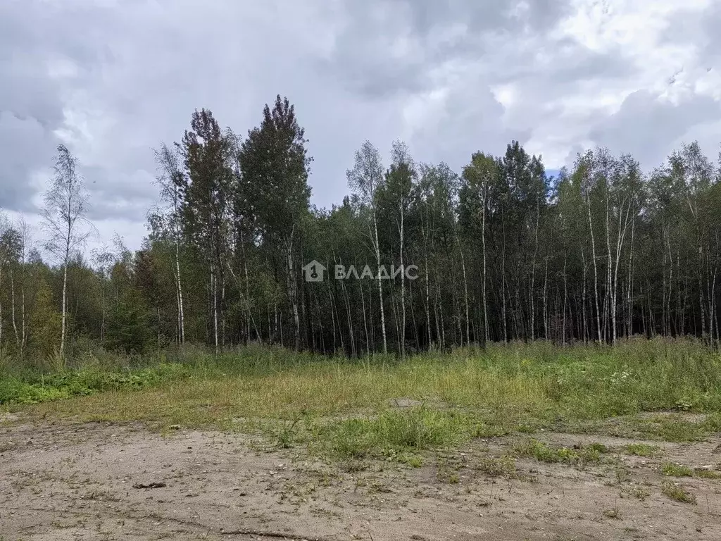 Участок в Калужская область, Калуга ул. Полесская (6.0 сот.) - Фото 1