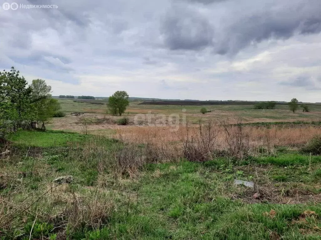 Участок в село Черемичкино, Набережная улица (17 м) - Фото 0