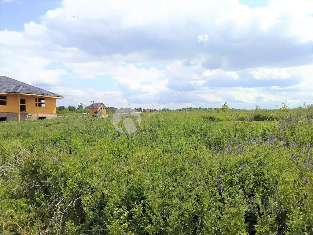 Участок в Пермский край, Пермский муниципальный округ, с. Кояново ул. ... - Фото 1