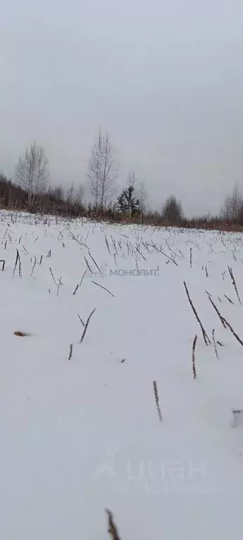 Участок в Нижегородская область, Богородский муниципальный округ, д. ... - Фото 0