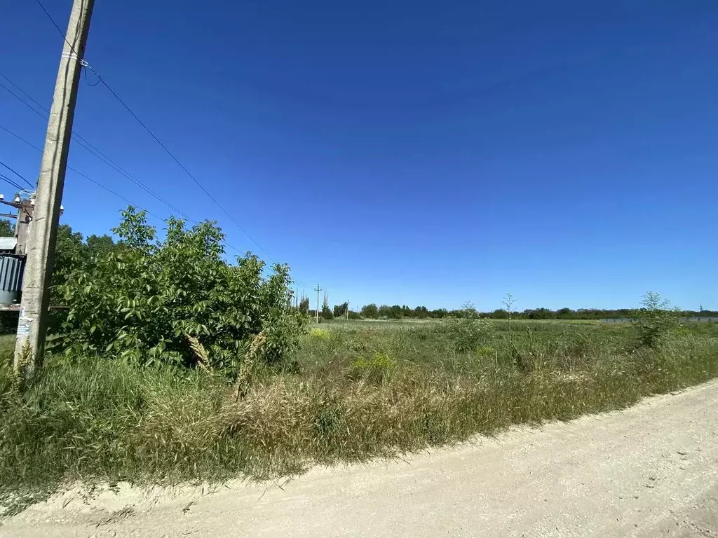 Участок в Краснодарский край, Темрюкский район, Вышестеблиевское ... - Фото 2