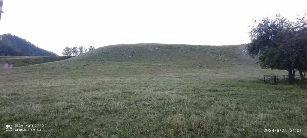 Участок в Алтай, Усть-Коксинский район, с. Тюнгур ул. Сухова (7.67 ... - Фото 0