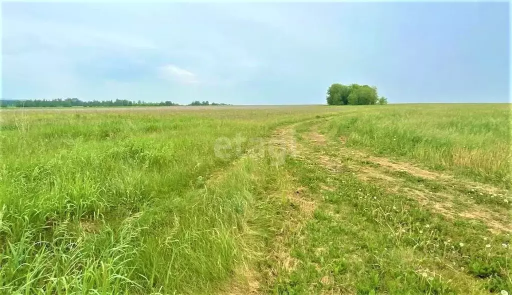 Купить Земельный Участок Земли В Юганце