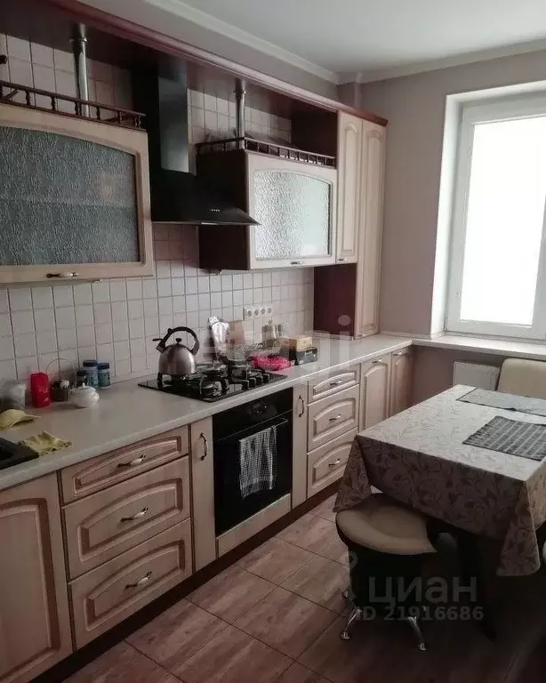 Ул белинского 42. Белинского 42 калининград. Ул белинского 42. Зоомагазин в перми мой зверь. Белинского 42 пермь на карте.