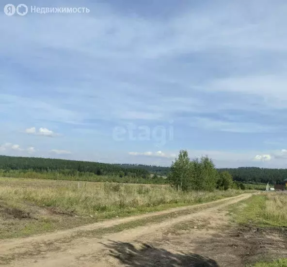 Участок в Каменский сельсовет, ДНТ Каменский Оазис (8 м) - Фото 1