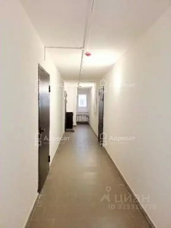 2-к кв. Волгоградская область, Волгоград ул. 70-летия Победы, 27 (44.5 ... - Фото 1