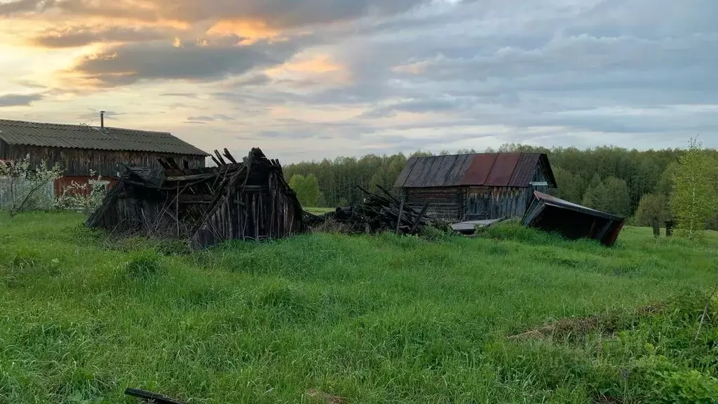 Участок в Владимирская область, Меленковский муниципальный округ, д. ... - Фото 1