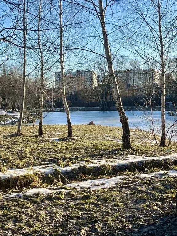 Участок в Москва д. Николо-Хованское, Дубрава СНТ, 34 (28.0 сот.) - Фото 1