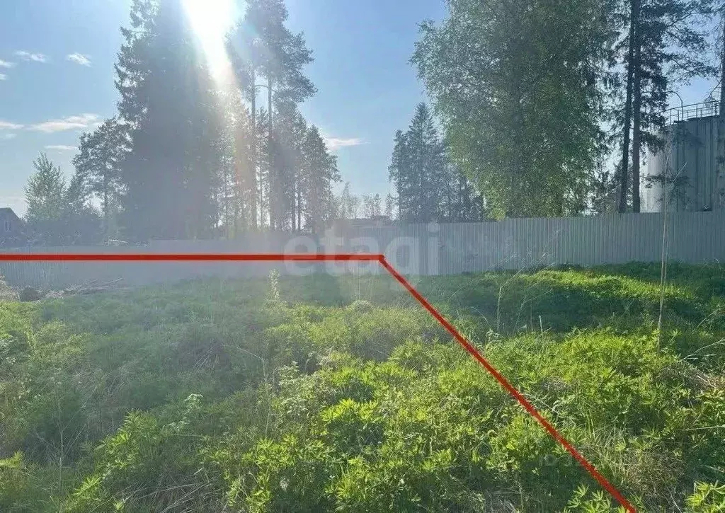 Участок в Ленинградская область, Сертолово Всеволожский район, Черная ... - Фото 1