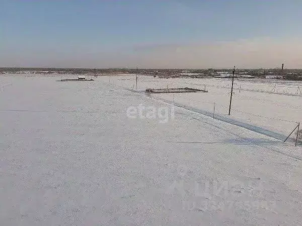 Участок в Хабаровский край, Хабаровский район, с. Восточное ... - Фото 2